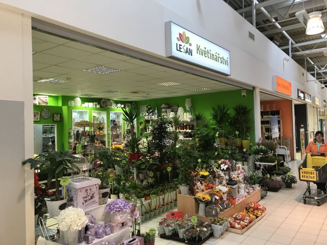 Obrázek k zakázce č.: 670046