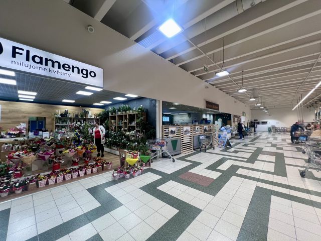 Obrázek k zakázce č.: 700836